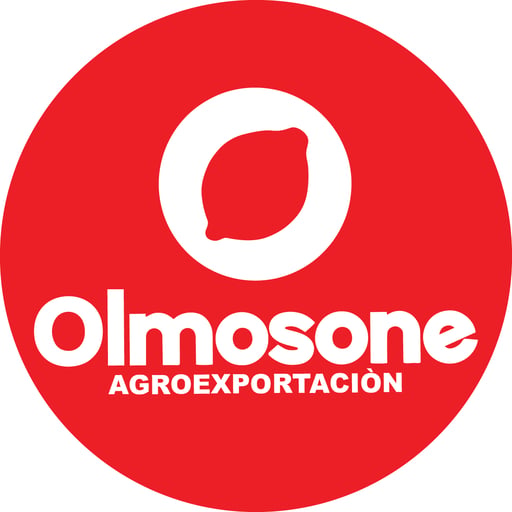 OLMOS ONE LLC